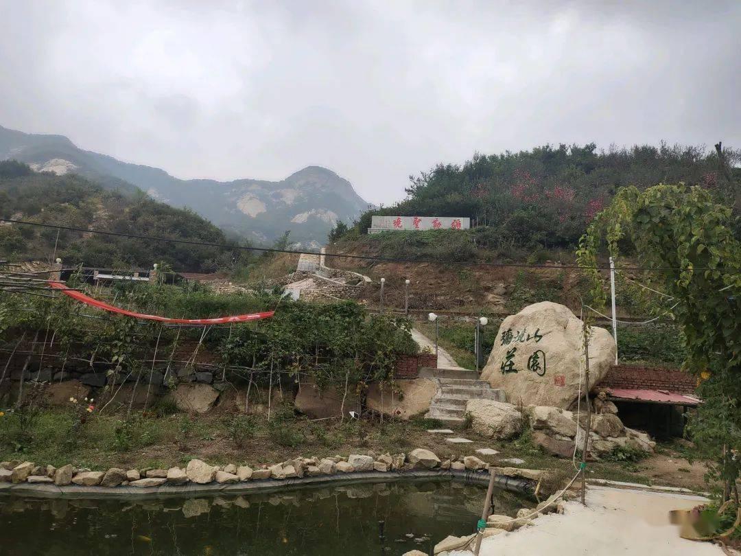 张杰全黑look霸总上线 大衣百搭又质感很耐看
