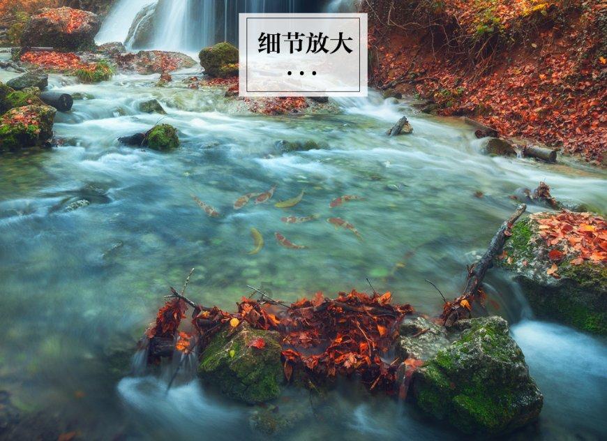 逃离幽灵之林