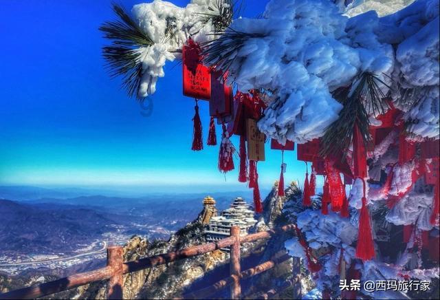 小猫钓鱼正版下载中文版